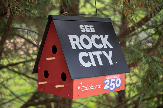 See Rock City America 250 Birdhouse Large