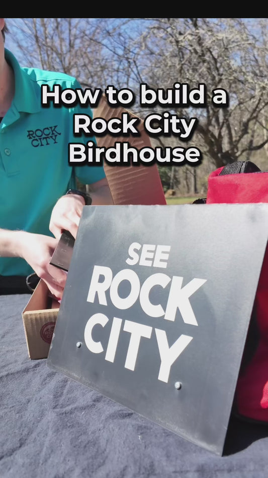 See Rock City Official Birdhouse