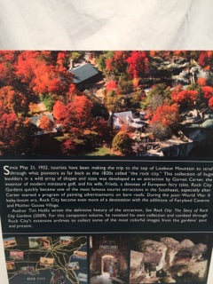 Images of Modern America Book